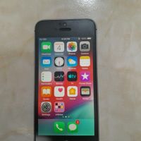 اپل iPhone 5s ۱۶ گیگابایت|موبایل|تهران, افسریه|دیوار