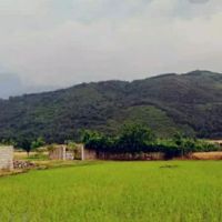 زمین-مسکونی-خانببین-نزدیک-جنگل