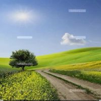 4-دیواری-باغ-روستای-وشنوه-تهاتر