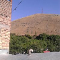 ویلایی-دربست