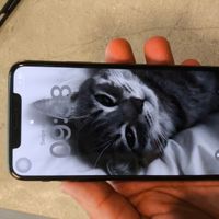 اپل iPhone 11 Pro Max با حافظهٔ ۶۴ گیگابایت|موبایل|تهران, جوادیه|دیوار