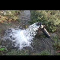 چهاردیواری-باغ-درخت-بارده-پسته