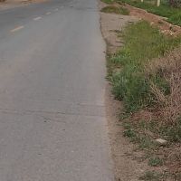 730-متر-باغچه-نظرآباد-کوچک