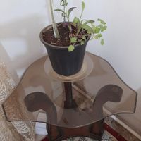 مبل ۷نفره ارزان|مبلمان خانگی و میز عسلی|تهران, نظام‌آباد|دیوار