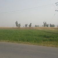 زمین-لب-جاده-اصلی-مناسب-باغ-ویلا-پمپ-بنزین