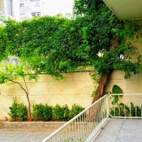 خانه-کلنگی-212-متر-2طبقه-عرض10متر-مجوز5طبقه