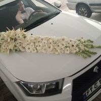 گل آرایی و تزیین ماشین عروس،جایگاه.درمحل شما|خدمات پذیرایی، مراسم|تهران, تهرانپارس غربی|دیوار