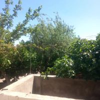 سلام-یک-عدد-سوله-دراتوبان-خرازی-ونزدیک-ورداورد