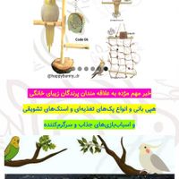 هپی بانی تولید و عرضه محصولات برای حیوانات خانگی|لوازم جانبی حیوانات|تهران, المهدی|دیوار