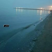 فروش-800-متر-زمین-ساحلی-با-3-باب-مغازه