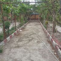 باغ-فروشی-توس-41