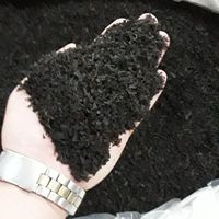 چای شاهپسند لاهیجان|عمده‌فروشی|لاهیجان, کوی آزادگان|دیوار