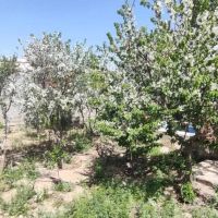 ویلای-1خوابه-100متر-نجم-آباد