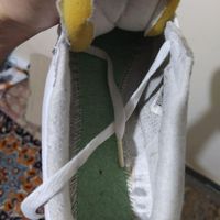 کفش نایک کورتز کتونی نایکی nike cortez|کیف، کفش، کمربند|تهران, لویزان|دیوار