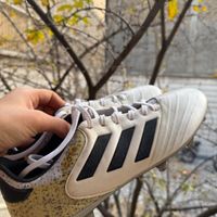 کفش استوک copa اصل سایز 42/5 adidas|کیف، کفش، کمربند|تهران, جمهوری|دیوار