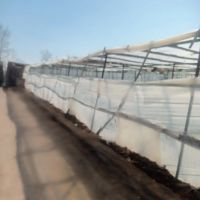 فروش-سازه-گلخانه