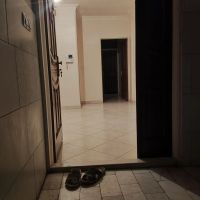 اجاره-آپارتمان-جوادیه-تهرانپارس