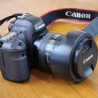 canon 6D|دوربین عکاسی و فیلم‌برداری|تهران, صادقیه|دیوار