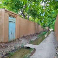 فیش-زمین-بهرانسجام