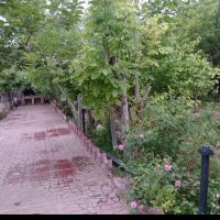 اجاره-باغ-ویلا