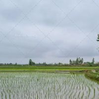 2300متر-زمین-کشاورزی-آبخور