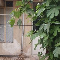 خانه دربستی یک طبقه|اجارهٔ خانه و ویلا|تهران, خزانه|دیوار