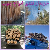 خریدار انواع چوب تر وخشک تیرکهنه سقفی ساختمان|عمده‌فروشی|همدان, |دیوار