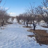 زمین-کشاورزی