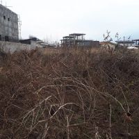 زمین-عباس-آباد