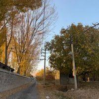 باغ-و-زمین-320-100-250-متری-در-جابان-دماوند