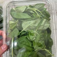 سبزیجات مدیترانه ای و انواع قارچ|خوردنی و آشامیدنی|تهران, جردن|دیوار
