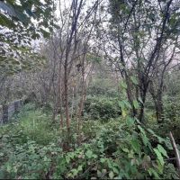 زمین-روستایی-موقعیت-استثنایی