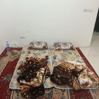 سوئیت-روزانه