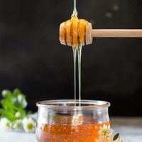 عسل طبیعی کلی و جزیی|خوردنی و آشامیدنی|تهران, باغ فیض|دیوار