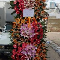 تاج گل،باکس،جام گل،دسته گل ، ماشین عروس|گل و گیاه طبیعی|تهران, آهنگ|دیوار