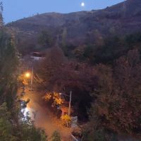 واحد-اجاره-ای-منزل-سوئیت-زشک