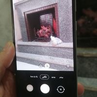 سامسونگ Galaxy A50s با حافظهٔ ۱۲۸ گیگابایت|موبایل|تهران, فیروزآبادی|دیوار