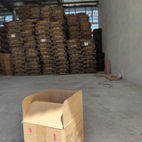 کارتن زرشک کارتون زرشکی، پریما استخوانی|عمده‌فروشی|تهران, خلیج فارس|دیوار