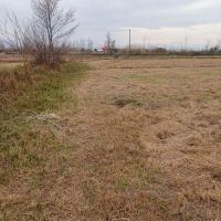 2200متر-شالیزار-سنتی-با-جاده