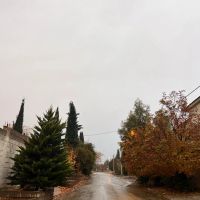 باغشهر-1000-متری-در-گلبهار-گیریلند-شیراز