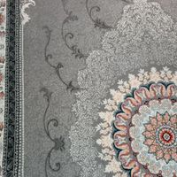 فرش|فرش|تهران, استاد معین|دیوار