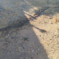 فروش-زمین-روستای-بیدسرخ-شهرستان-صحنه