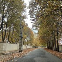 350-متر-مربع-زمین-بر-اصلی-خیابان-ساحل-رامجین