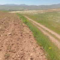 فروش-زمین-خانه-باغی-تخت-و-سنددار-چسبیده-به-قیلسون
