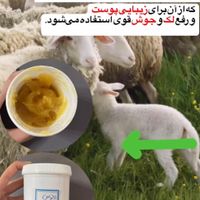 کرم ضدلک و ضدجوش قوی (vip توسکا)|خدمات آرایشگری و زیبایی|تهران, استاد معین|دیوار