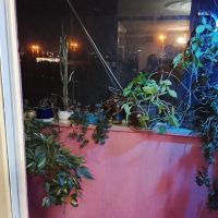 اجاره-سویت-اپارتمان