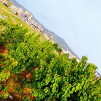 خانه-باغ-مسکونی-نایسر-داخل-شهرک-و-محدوده-مسکونی