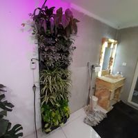 طراحی و تولید دیوار سبز green wall|گل و گیاه طبیعی|تهران, تهران‌سر|دیوار