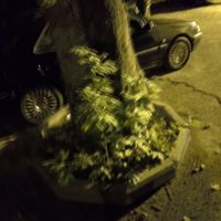 رینگ لاستیک بسیار سالم زیبا به شرط مهلت تست|قطعات یدکی و لوازم جانبی|تهران, پونک|دیوار