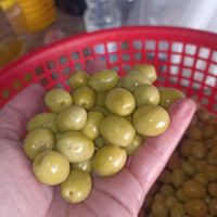 پخش انواع زیتون و روغن زیتون|عمده‌فروشی|رودبار, |دیوار
